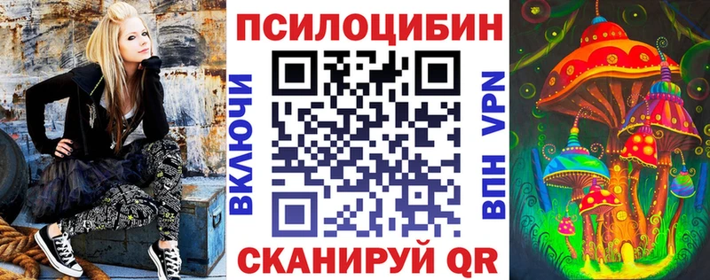 наркотики  Дмитровск  ОМГ ОМГ ONION  Галлюциногенные грибы Psilocybe 